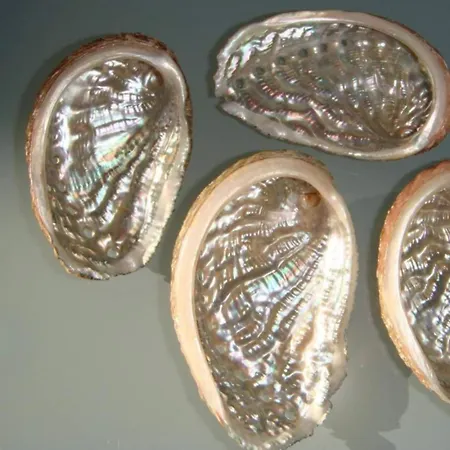 Laa Melossa * Sarandë